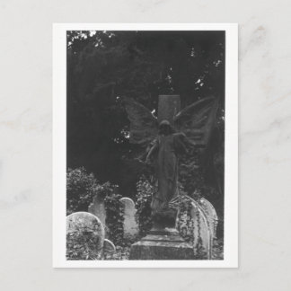 Ange Statue Vieux Cimetière Carte postale