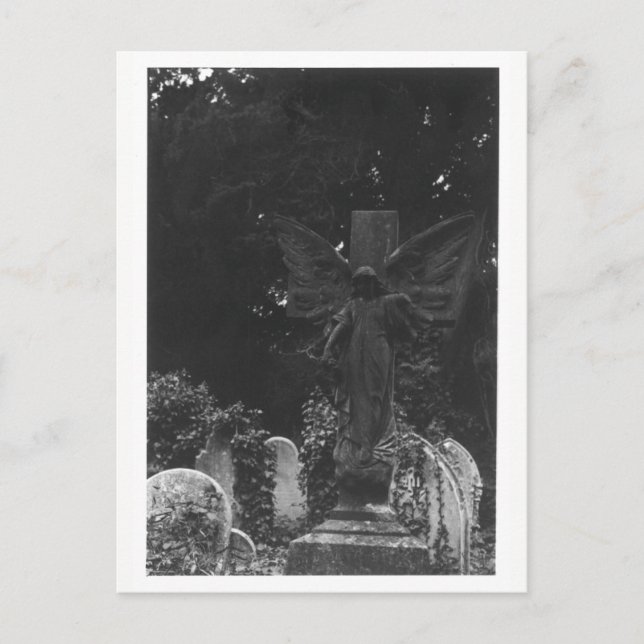Ange Statue Vieux Cimetière Carte postale (Devant)