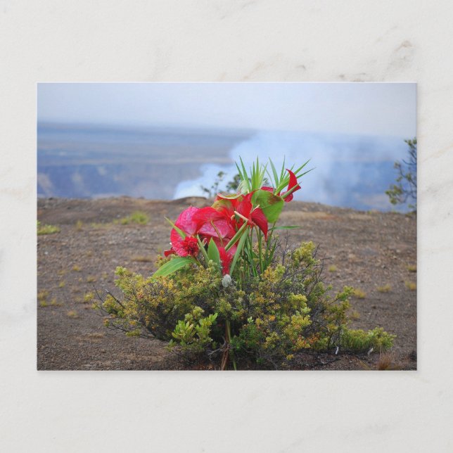 Angebot an Pele, Hawaiianische Vulkangöttin Postkarte (Vorderseite)