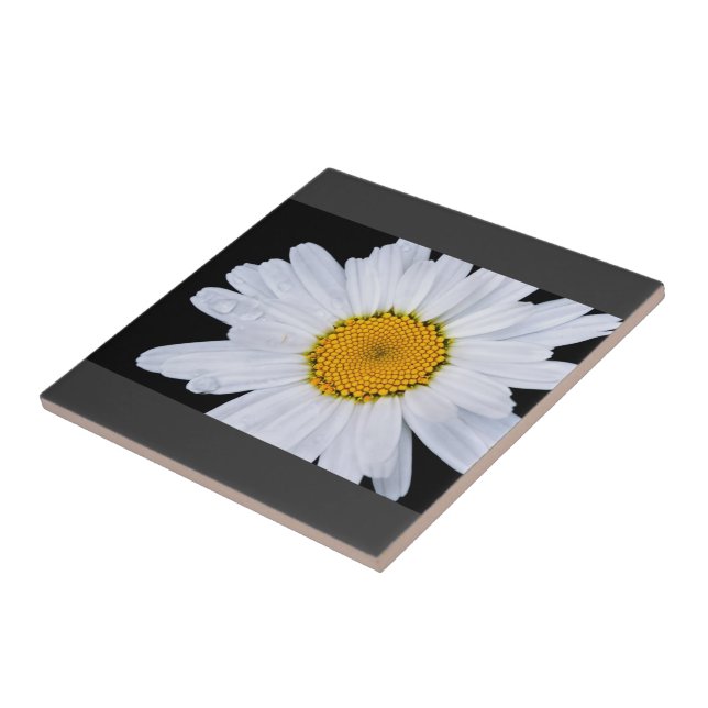 Angebot Fliese (Seite)