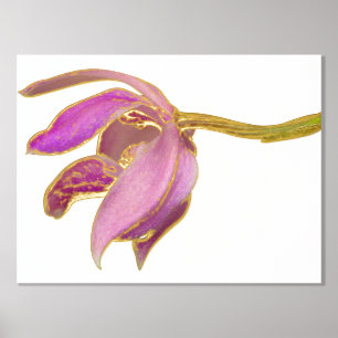 Angebot hinzufügen / Farbige Hintergrundfolie Akze Foliendrucke