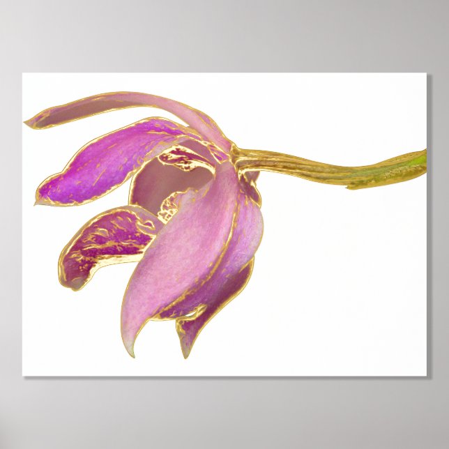 Angebot hinzufügen / Farbige Hintergrundfolie Akze Foliendrucke (Vorderseite)