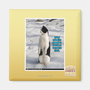 Angehoben durch Pinguine Magnet
