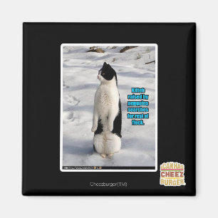 Angehoben durch Pinguine Magnet