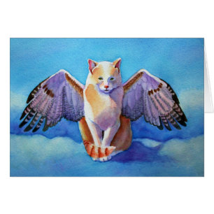 Angel Cat Red Schwanz Hawk