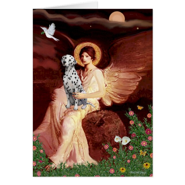 Angel - Dalmatiner (Vorne)