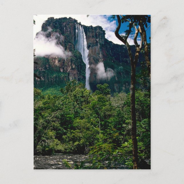 Angel Falls Postkarte (Vorderseite)
