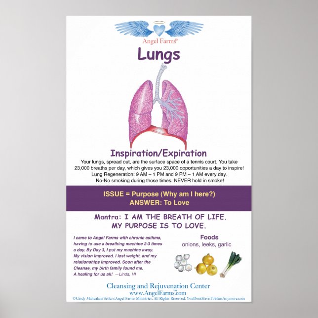 Angel Farms Lung Chart Poster (Vorne)