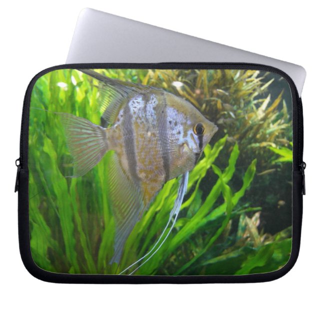 Angel Fish Laptopschutzhülle (Vorderseite)