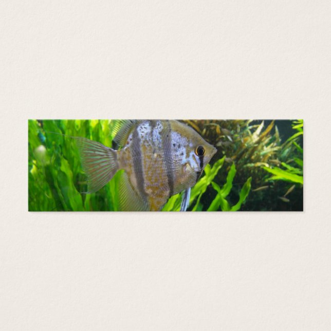 Angel Fish Lesezeichen (Vorderseite)