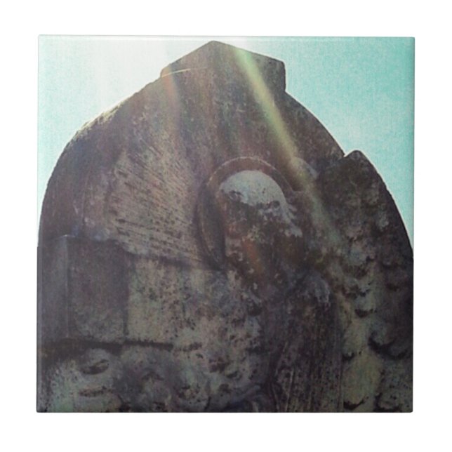 Angel Fliese (Vorderseite)