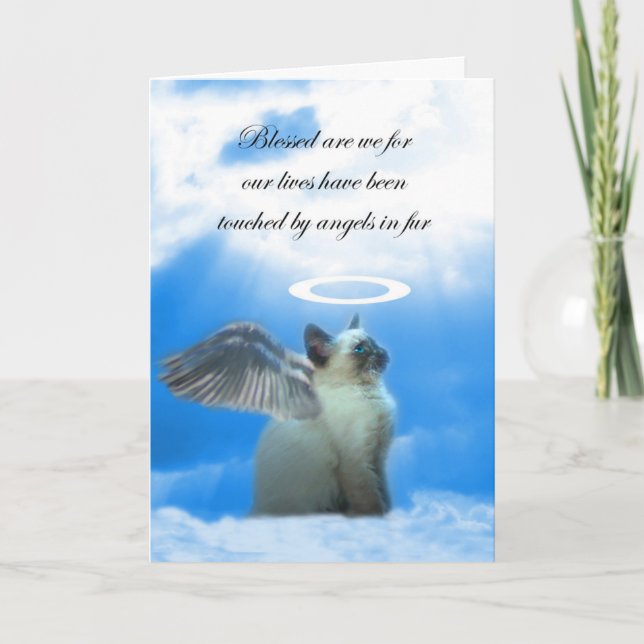 Angel Kitty Loss Cat Sympathy Card Karte (Vorderseite)