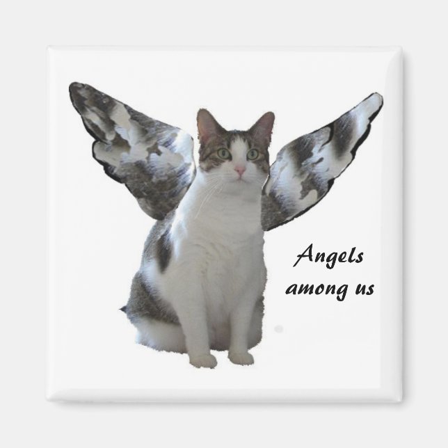 Angel Kitty Magnet (Devant)