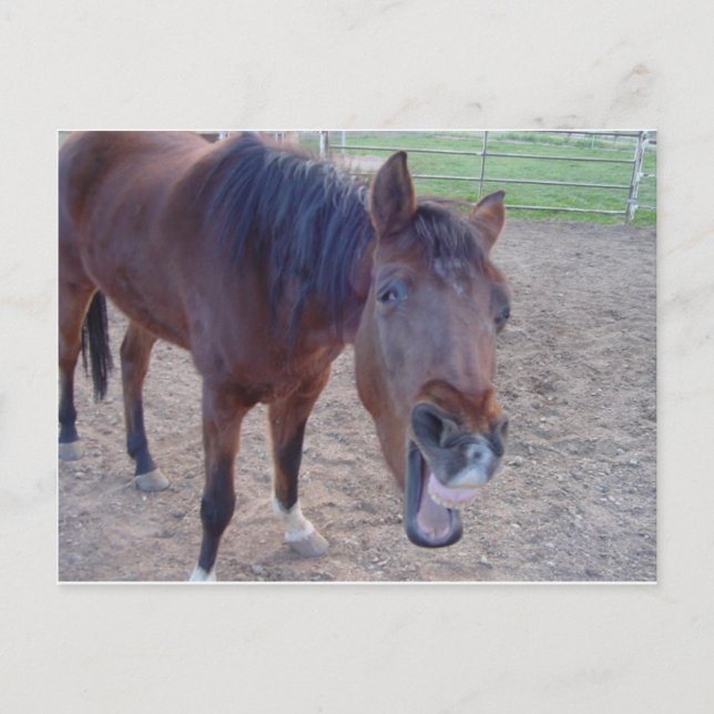 Angel Laugh Postkarte (Vorderseite)