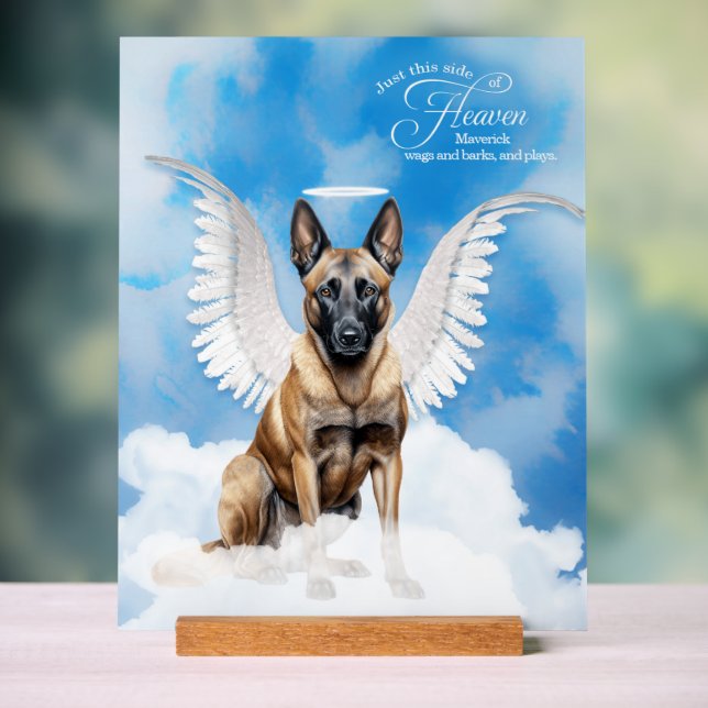 Angel Malinois belge avec nom Pet Memorial (Neutre)