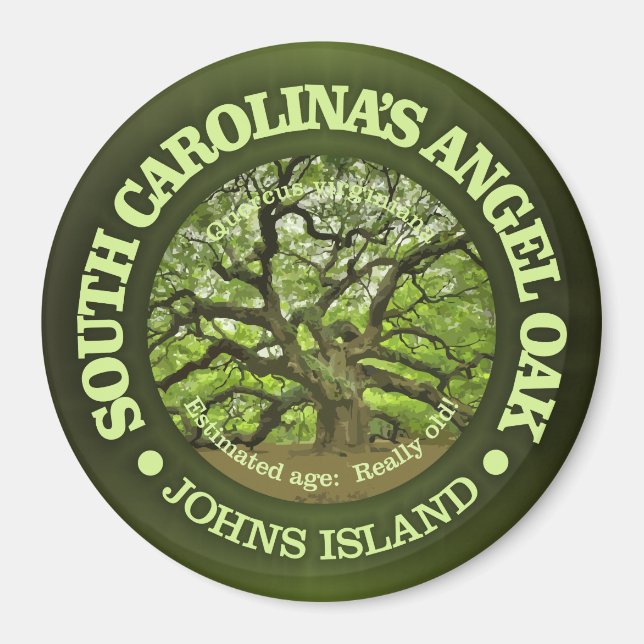 Angel Oak Magnet (Vorne)