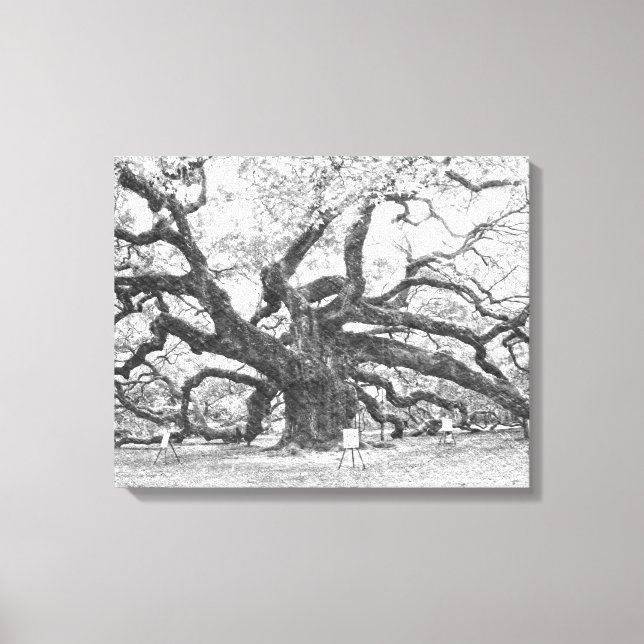 Angel Oak Tree Leinwanddruck (Vorderseite)