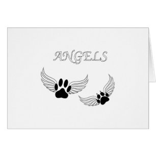 Angel Pet Animaux