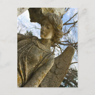 Angel Postkarte