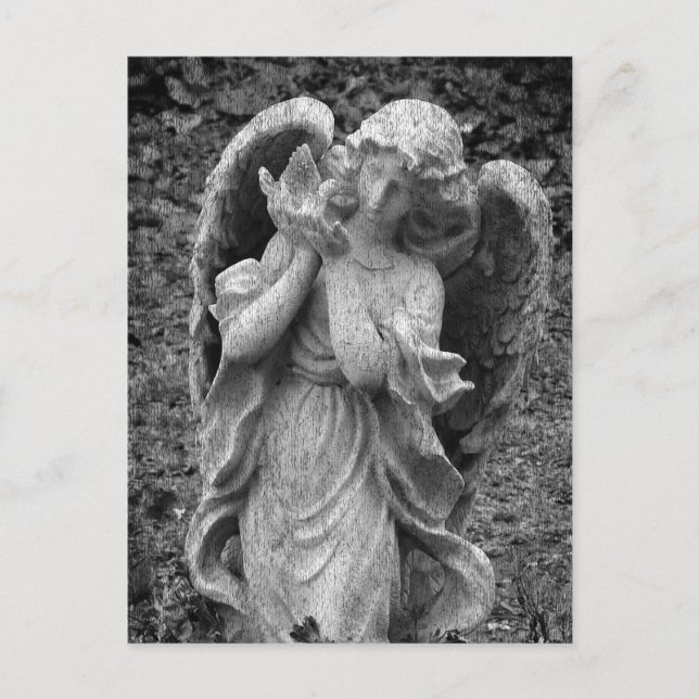 Angel Postkarte (Vorderseite)