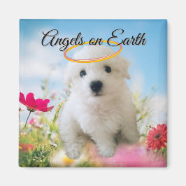 Angel Puppy Magnet