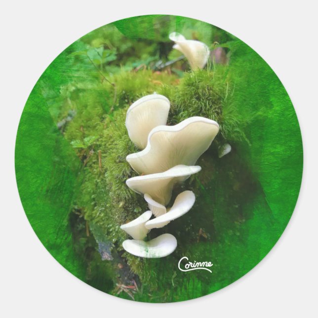 Angel Wing Mushroom - Aufkleber für den Umschlag (Vorderseite)