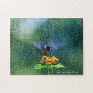 Angel Wings Humming