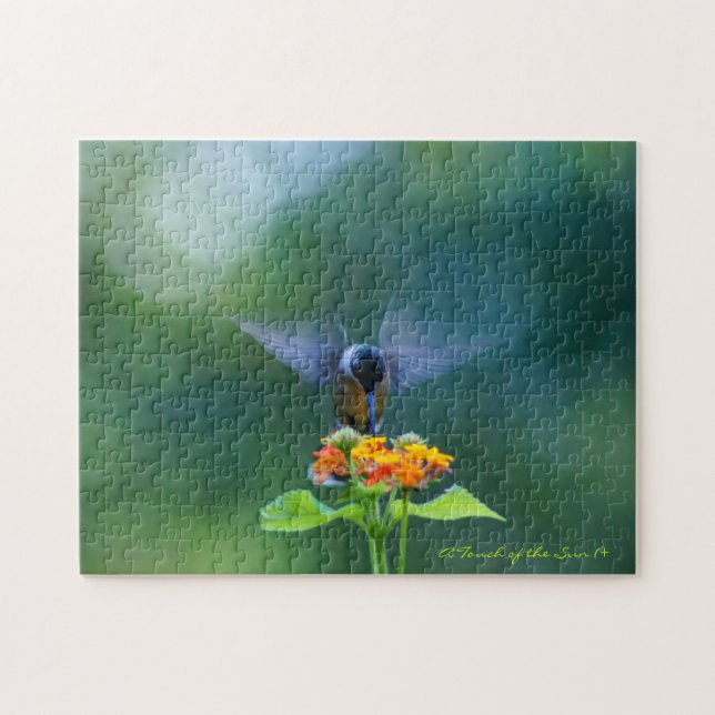 Angel Wings Humming (Horizontal)