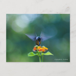 Angel Wings Postkarte