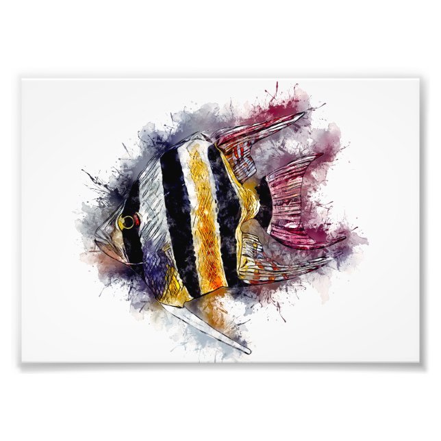 AngelFisch Aquarium Meer Kunstwerk Fotodruck (Vorne)