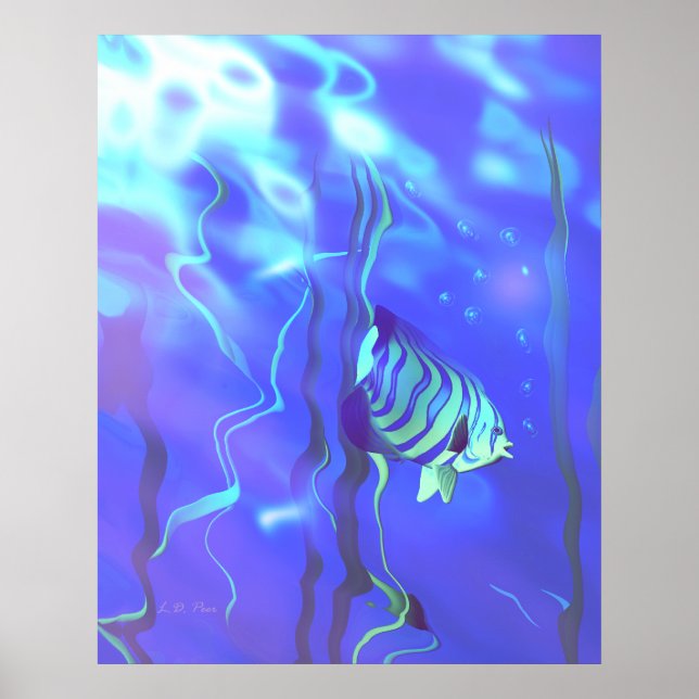Angelfish Blues Poster (Vorne)