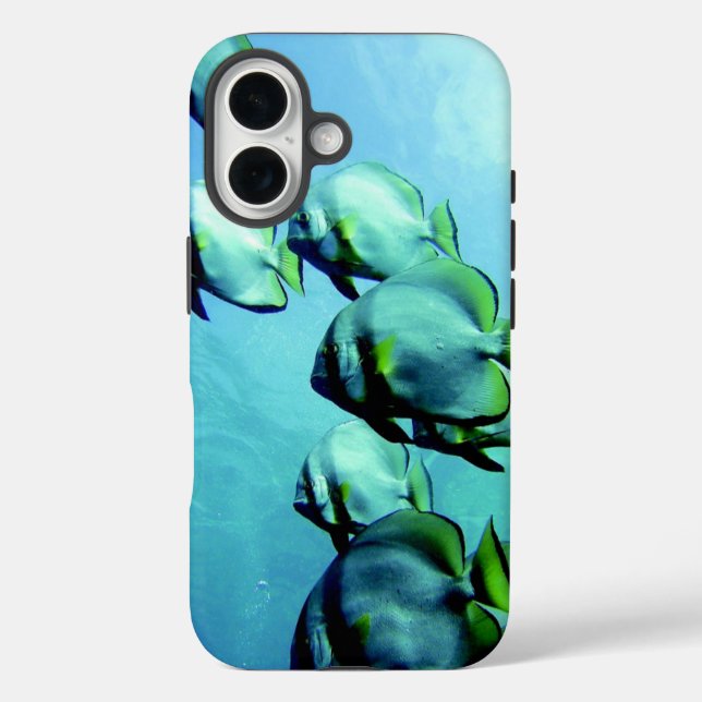 Angelfish Clear Blue Water iPhone 16 Hülle (Rückseite)