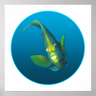 Angelfish - Design auf gradientenblauem Hintergrun Poster
