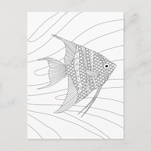Angelfish-erwachsene Farbton-Postkarte Postkarte (Vorderseite)