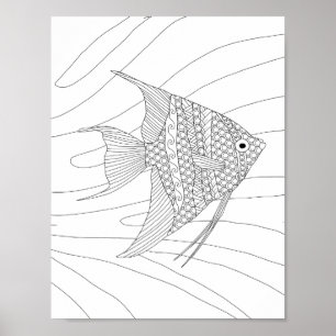 Angelfish Erwachsenenfarbposter Poster