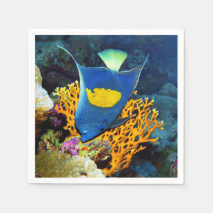 Angelfish malerisch vor der Koralle, Rotes Meer Serviette
