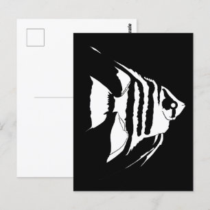 Angelfish. Schwarz und Weiß. Monochrom Postkarte