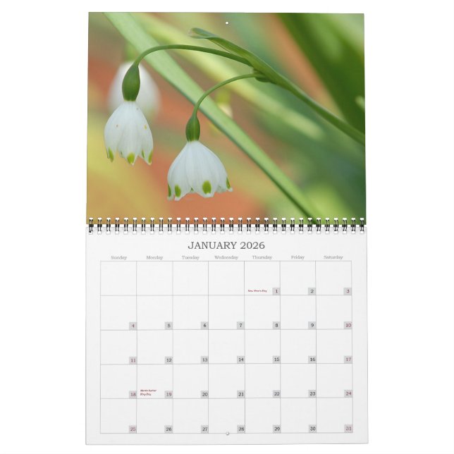 Angelie's Garden 2008 Kalender (Jan 2026)