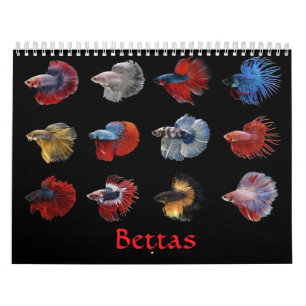 Angelkalender Kalender