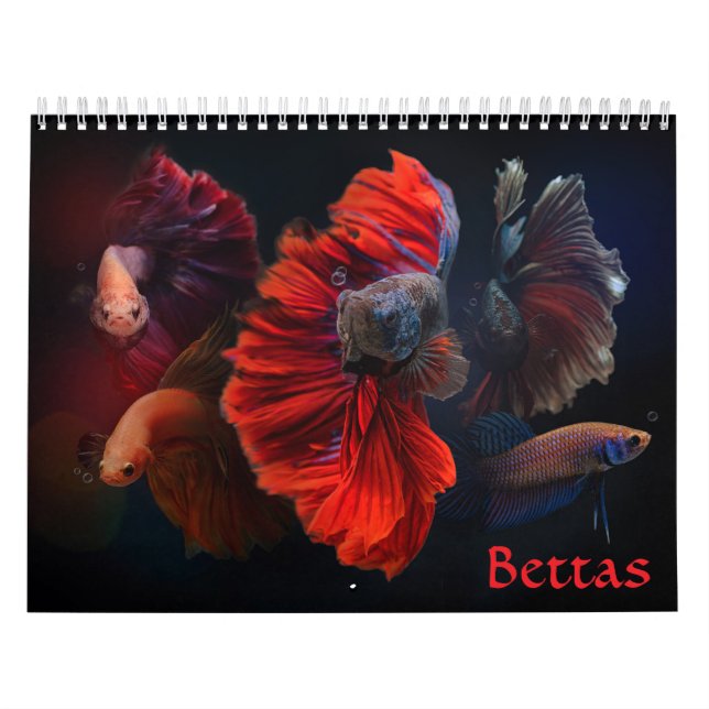 Angelkalender Kalender (Titelbild)
