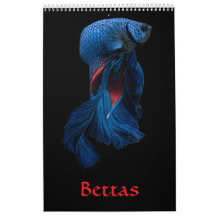 Angelkalender Kalender