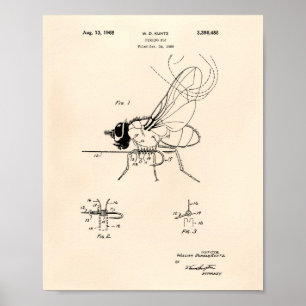 Angeln Fly 1968 Patent Kunst Alte Peper Poster