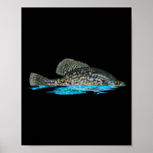 Angeln für Crappie-Fisch Grafik Kunst Crappie-Fisc Poster