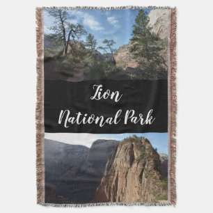 Angels Landung im Zion Nationalpark Decke