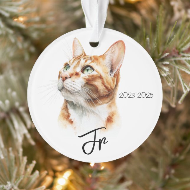 Angels With Tails – Pet Memorial Keepsake Ornament (Baum)