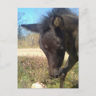 AngelsPhlyby Nite Postkarte