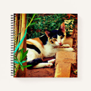 Angenehme Katze Notizbuch