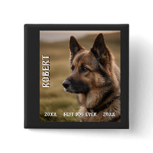 Angepasste Gedenkstätte für Haustiere bester Hund