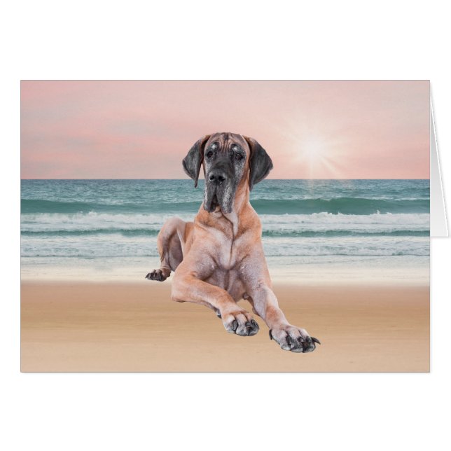 Angepasster Niedlicher Großer Dan Hund sitzend am  (Vorderseite (Horizontal))