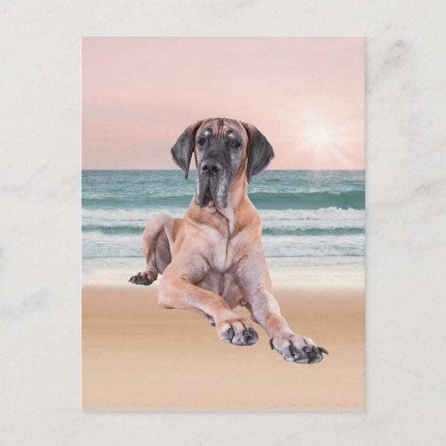 Angepasster Niedlicher Großer Dan Hund sitzend am  Postkarte (Vorderseite)